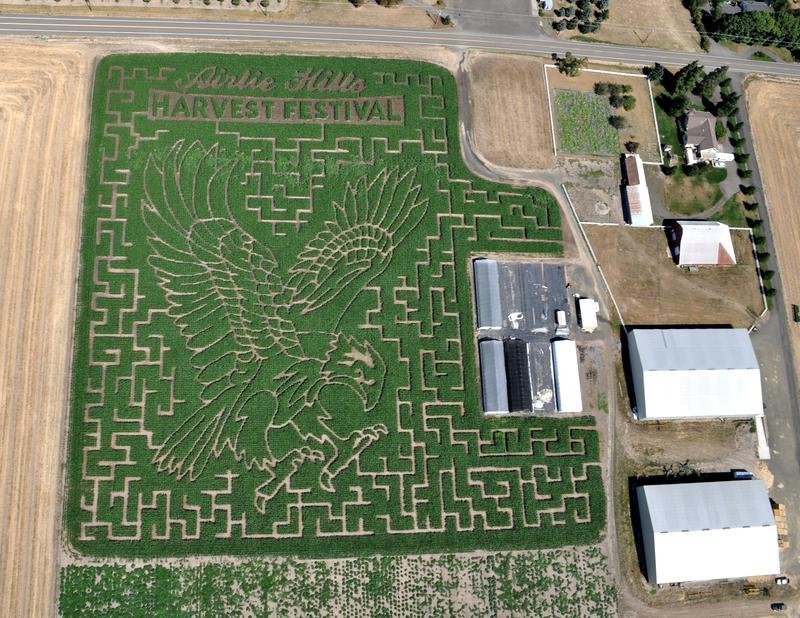 🐄 낙농왕국 오라체 이미지 9